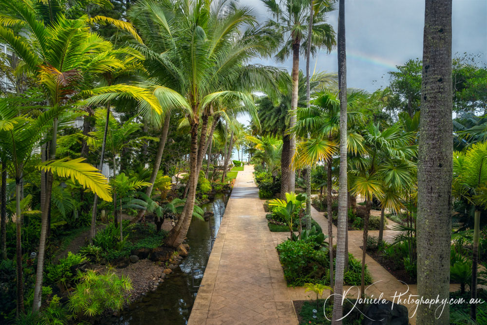 A Tropical Garden after Rain with a Rainbow in the background at the Beach in New Caledonia